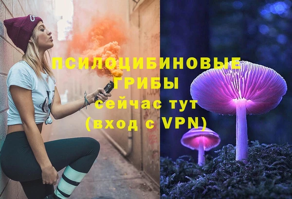 дмт Медногорск