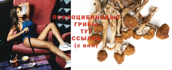 дмт Медногорск